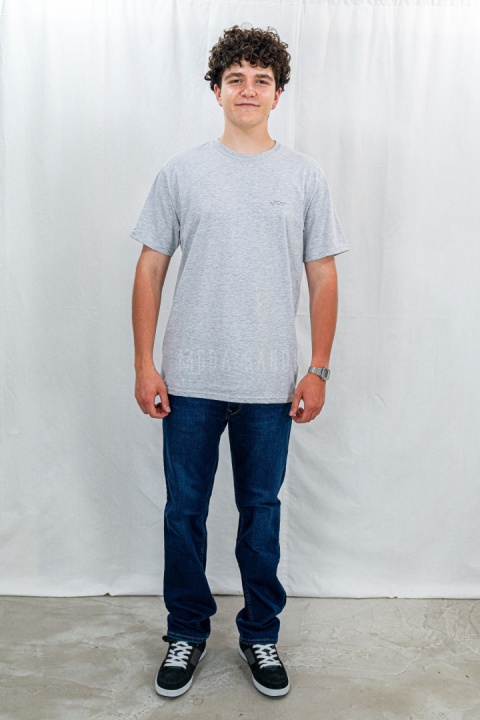 Szara klasyczna koszulka męska TDS - MODA SANOK